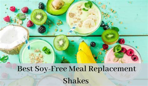 soy free meal replacement shakes